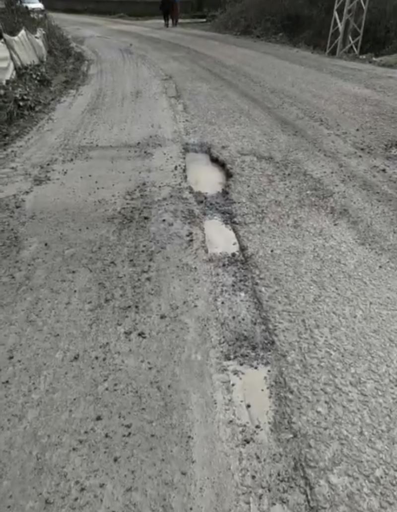 Vatandaşlar yollardaki çukurlara tepki gösterdi
