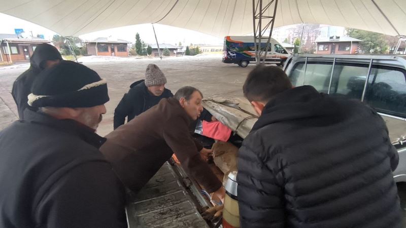 Artvin’de vatandaşların bitkin halde bulduğu karaca görevlilere teslim edildi
