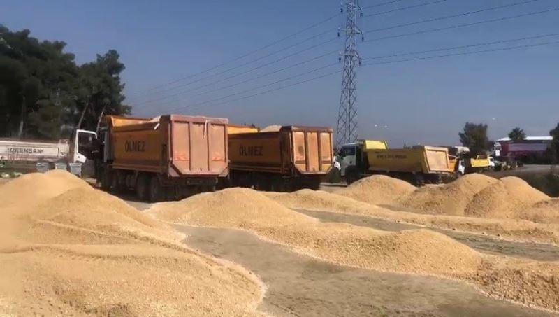 Siirt’ten giden ekip Hatay’da şantiye kurdu