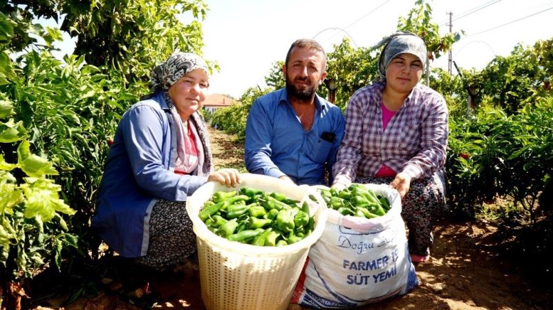 Emcelli Biberi’ne coğrafi mahreç işareti
