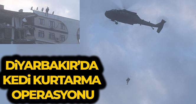 Enkazdaki kedi için helikopter kaldırıldı