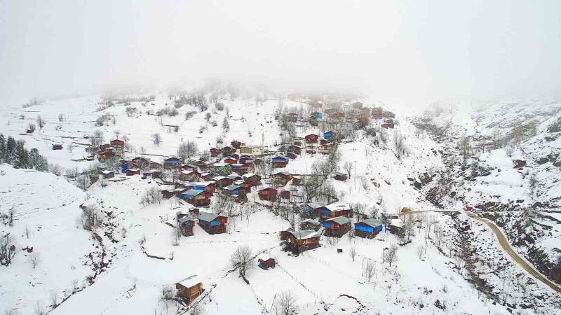 Artvin’de çığ altında kalan bir kişi kurtarıldı
