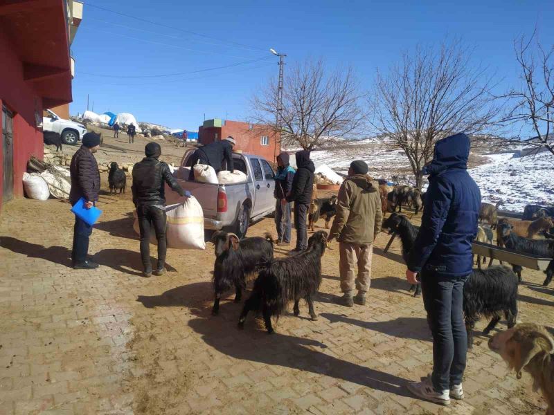 Siirt’ten deprem bölgesine 100 ton yem ve saman gönderildi
