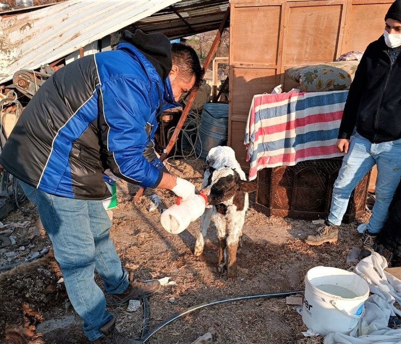 Iğdır’dan deprem bölgesine giden veteriner hekimler geri döndü
