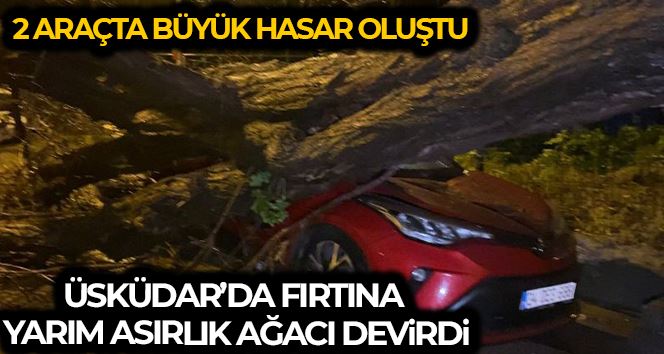 Üsküdar’da yarım asırlık akasya ağacı 2 otomobilin üzerine devrildi