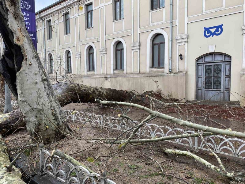 Beşiktaş’ta devrilen ağaçtan kopan parça ticari taksinin üzerine düştü
