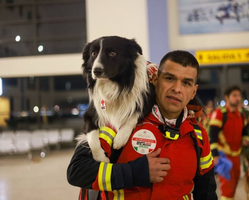 Meksika, meşhur arama kurtarma köpeklerini Türkiye’ye gönderdi
