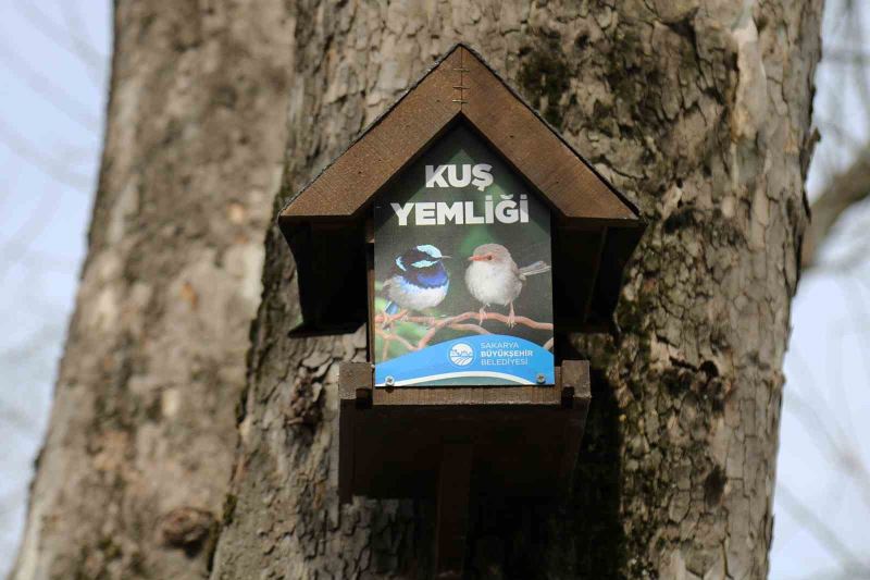 Büyükşehir’in kuş yemlikleri yürekleri ısıttı