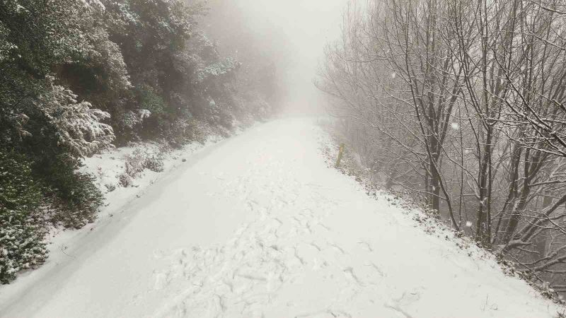 Yalova’da yüksek kesimler kar yağışıyla beyaza büründü
