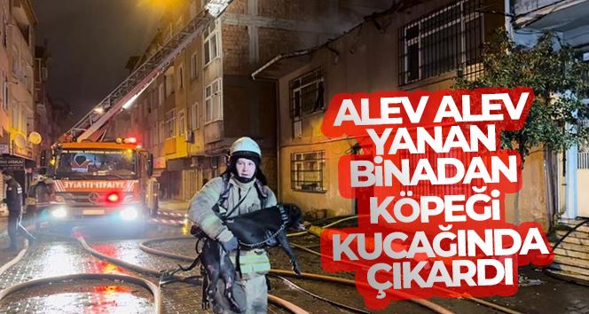 Beyoğlu’nda alev alev yanan binadan köpeği kucağında çıkardı