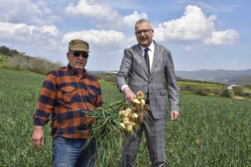 Soğan fiyatları bayramdan sonra düşecek
