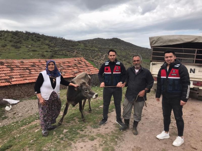 Kurbanlık hayvanı çalanları JASAT yakaladı
