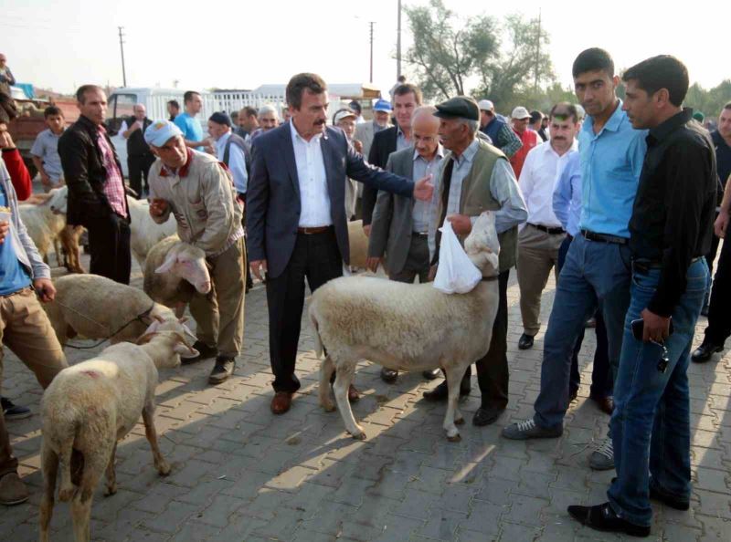 Bursa’da hayvan pazarları açılıyor
