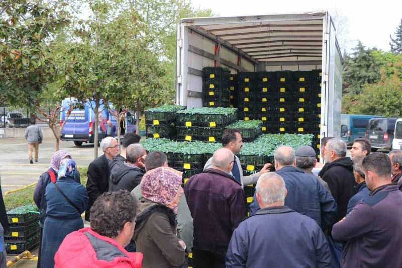 Yalova’da çiftçilere 252 bin adet sebze fidesi dağıttı
