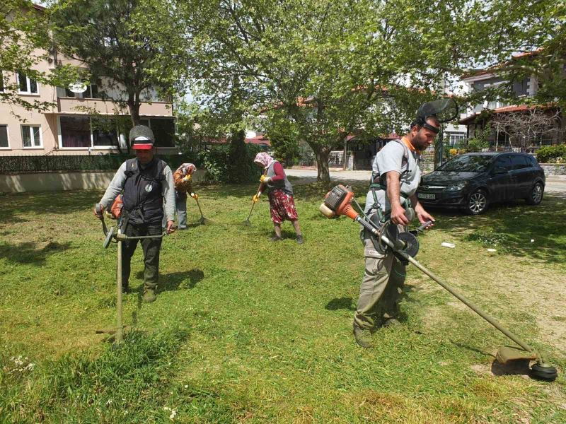 Burhaniye’de Ot Temizleme Timi görev başında
