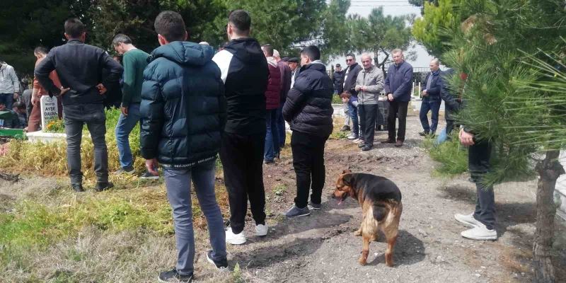 Sokak köpeği Messi cenazelere katılıyor
