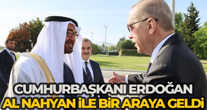 Cumhurbaşkanı Erdoğan, BAE Devlet Başkanı Al Nahyan ile bir araya geldi