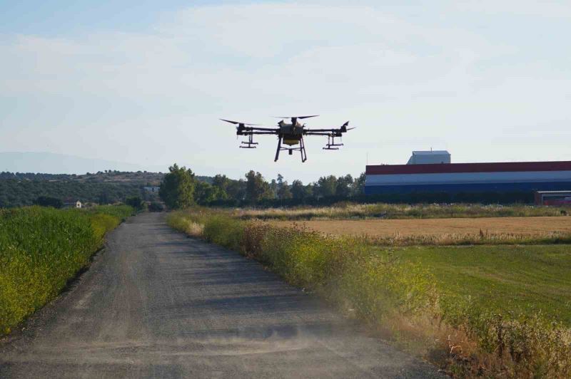 Dron ile sinek öldürüyorlar