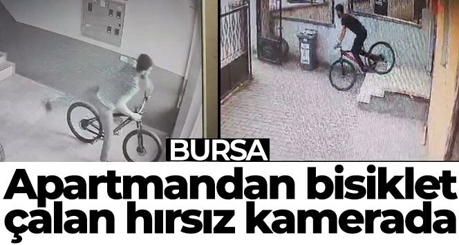 Apartmandan bisiklet çalan hırsız kameralara yakalandı