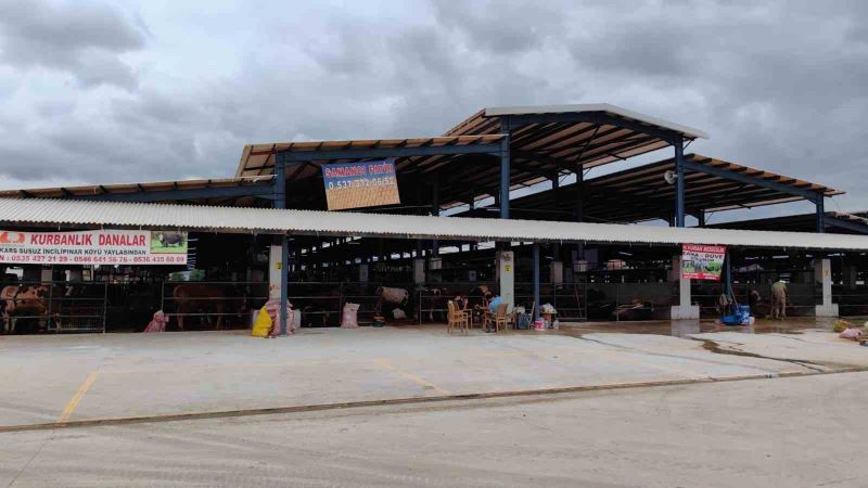 Bursa’da şap hastalığı kontrol altına alındı
