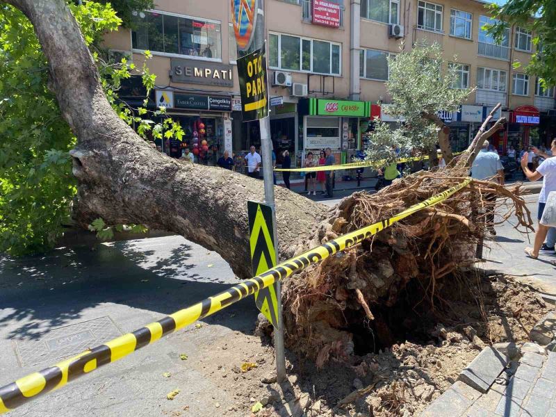 Üsküdar’da asırlık çınar ağacının caddeye devrilmesi kameraya yansıdı
