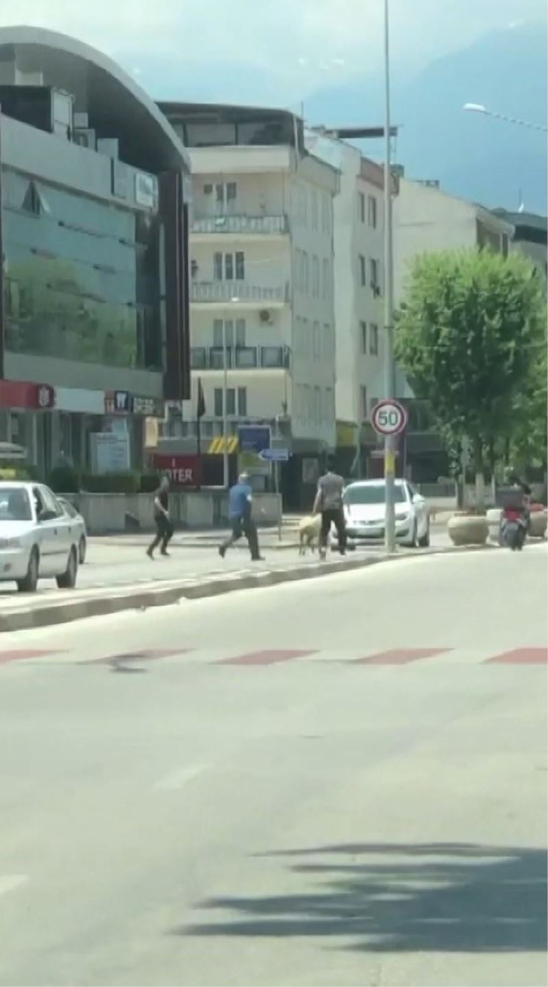 Bursa’da sahibinden kaçan koyun trafiği birbirine kattı
