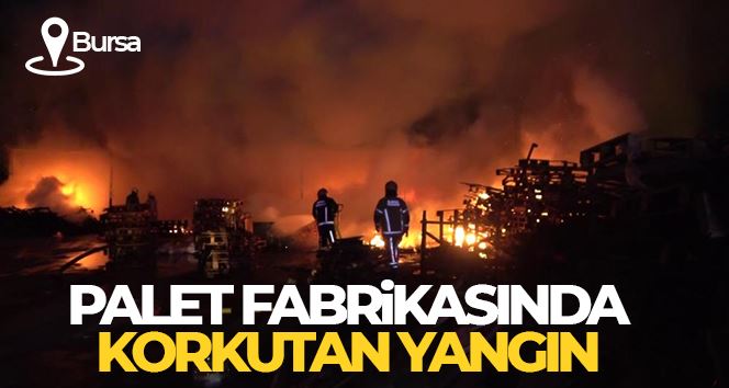 Bursa’da palet fabrikasında korkutan yangın