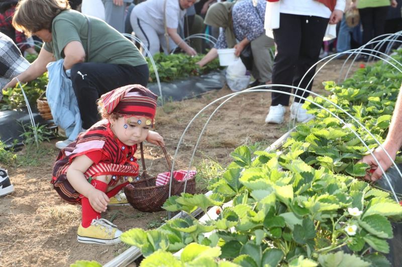 Bu da çilek köyü
