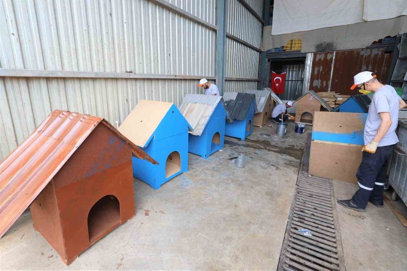 Atık malzemeler sokak hayvanlarına yuva oluyor
