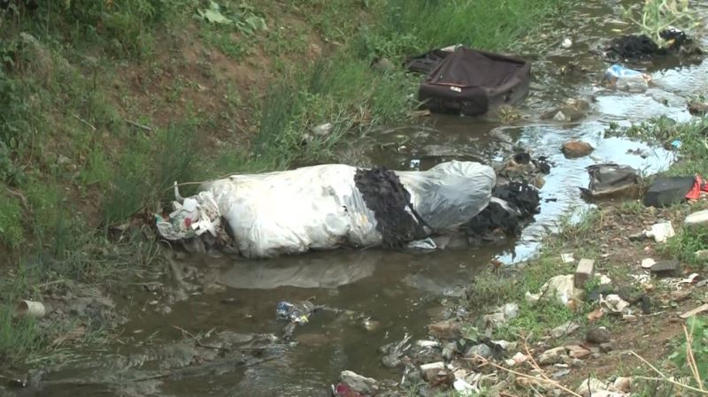 Arnavutköy’de haşere yuvasına dönen dere mahalleliyi isyan ettirdi