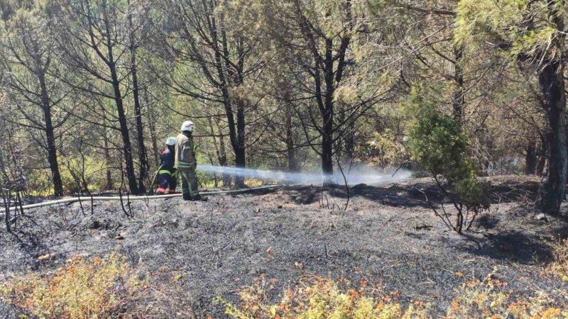 Sultangazi Kent Ormanı’nda çıkan yangın paniğe neden oldu
