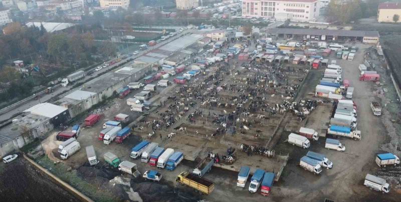 Havsa Canlı Hayvan Pazarı kapatıldı
