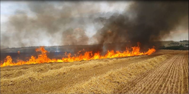 Aşırı sıcaklar hububat tarlalarında yangın riskini artırıyor
