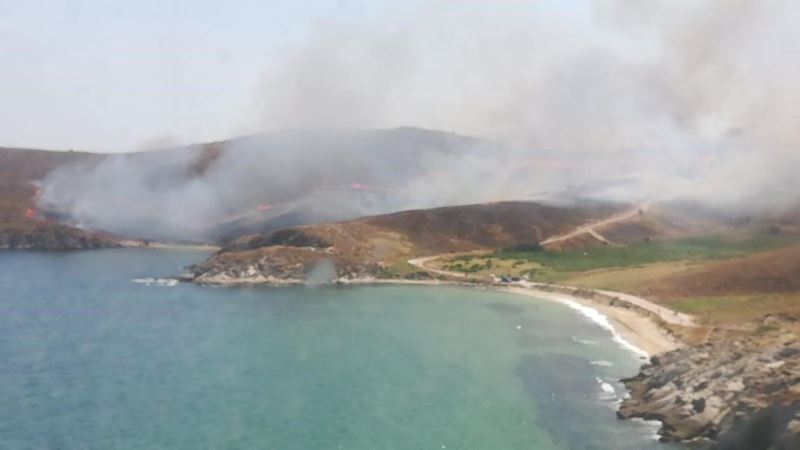 Avşa adasında otluk alanda yangın
