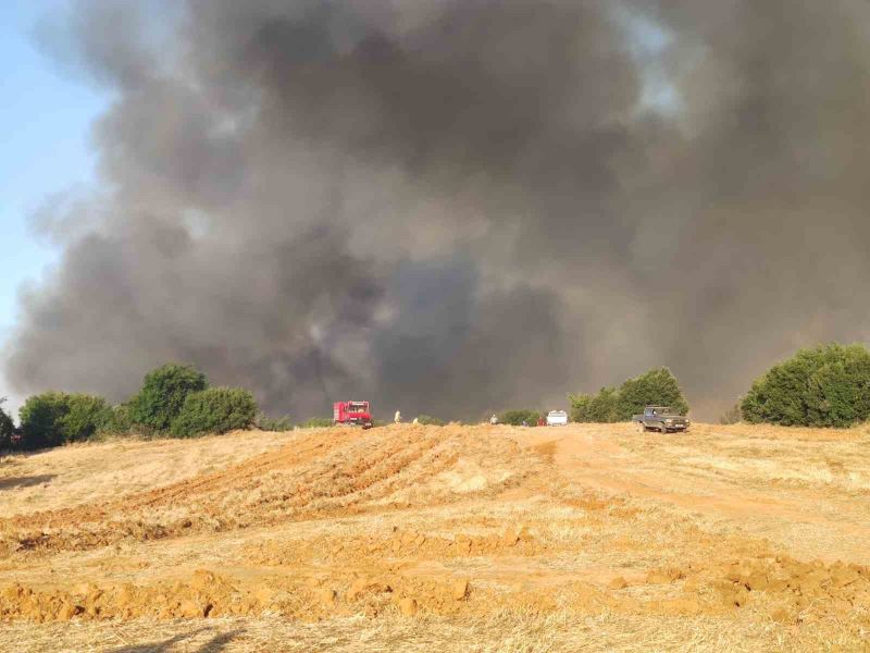 Tekirdağ’daki orman yangını yerleşim yerlerini tehdit ediyor
