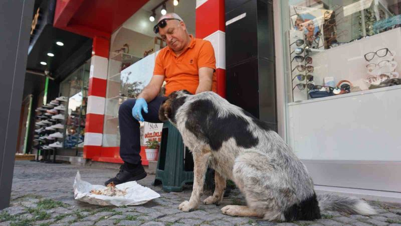 7 yıl önce yaralı halde iş yerinin önüne gelen sokak köpeği esnafın 