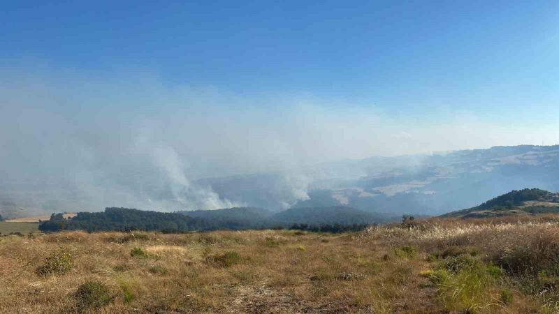 Orman yangını 18 saattir kontrol altına alınmaya çalışılıyor
