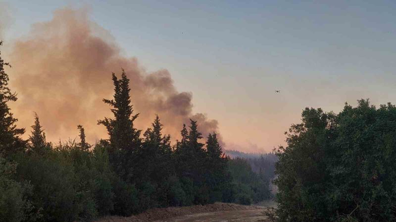 Tekirdağ’daki yangına helikopter desteği ile müdahale sürüyor
