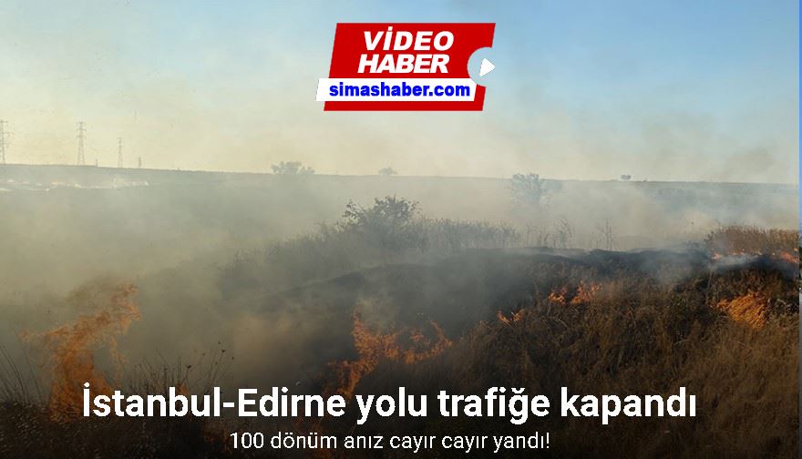 100 dönüm anız cayır cayır yandı: İstanbul-Edirne yolu trafiğe kapandı