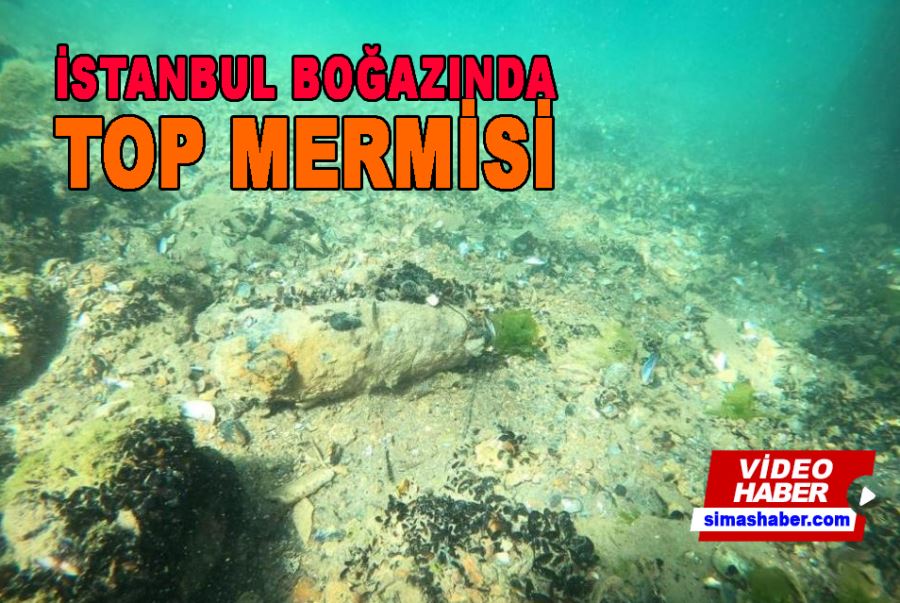 Boğaz’da salyangoz avlarken top mermisi buldu