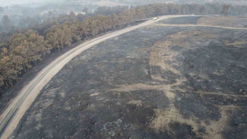 Çanakkale’deki orman yangınına 38. saatte ekipler müdahale etmeye devam ediyor
