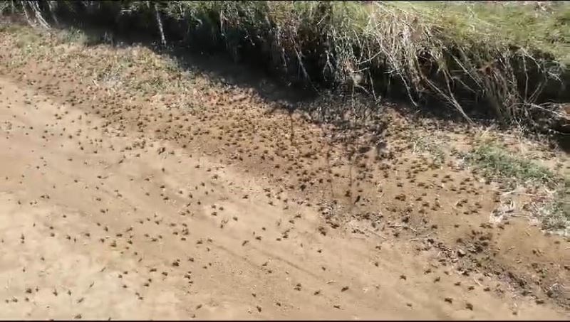 Tekirdağ Valiliğinden 