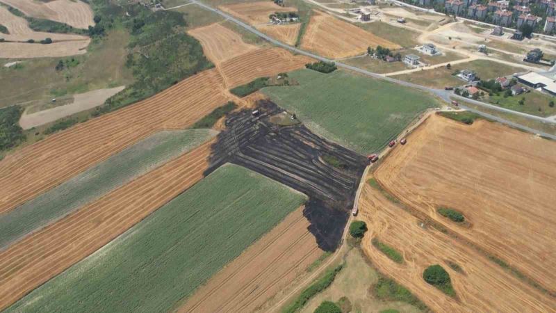 Arnavutköy’de 20 dönüm buğday tarlası küle döndü
