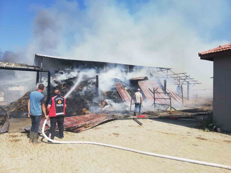 Bilecik’te dün başlayan at çiftliği yangınında soğutma işlemi devam diyor
