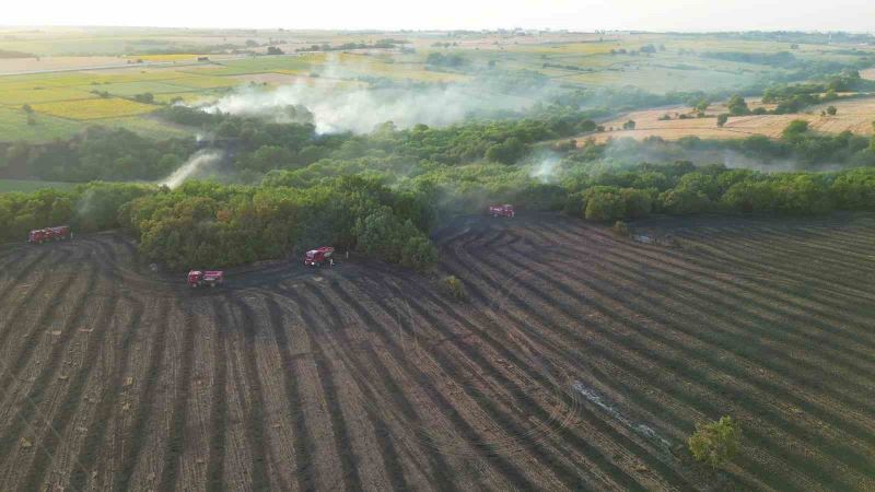 Edirne’deki orman yangınının havadan görüntüsü ortaya çıktı
