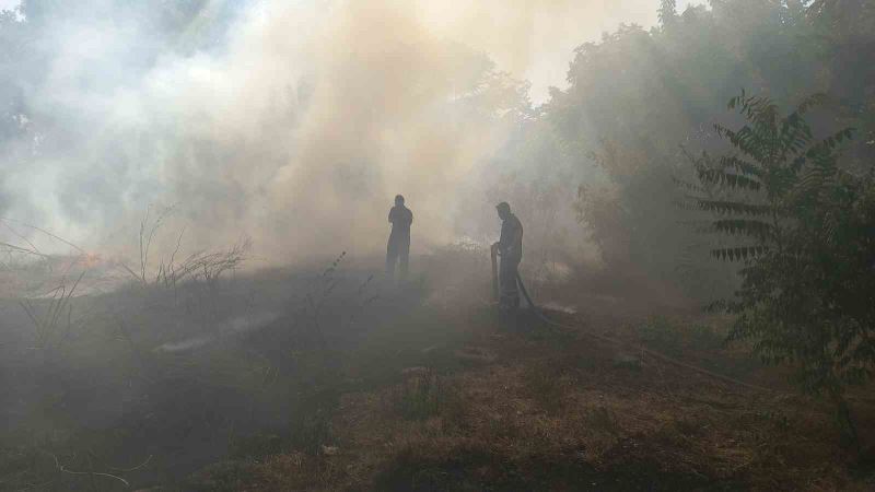 Edirne’de çıkan yangınlar güçlükle söndürüldü
