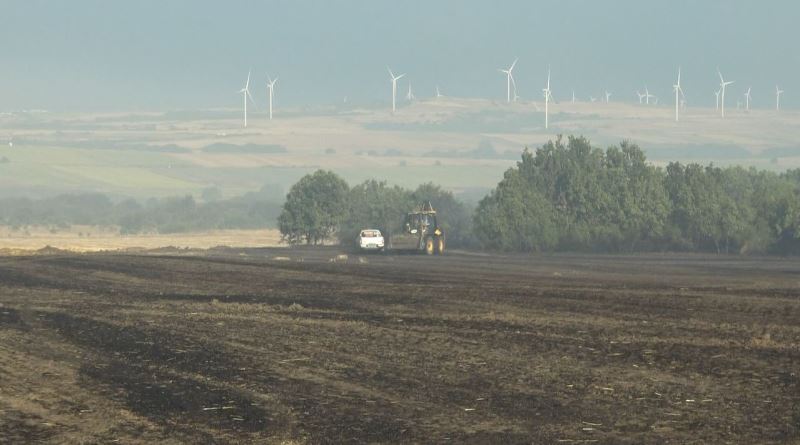 Silivri’de korkutan yangın: Arazide başladı ormanlık alana sıçradı
