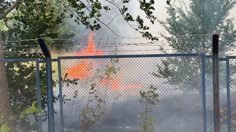 Tekirdağ’da askeri bölgede ağaçlık alanda yangın
