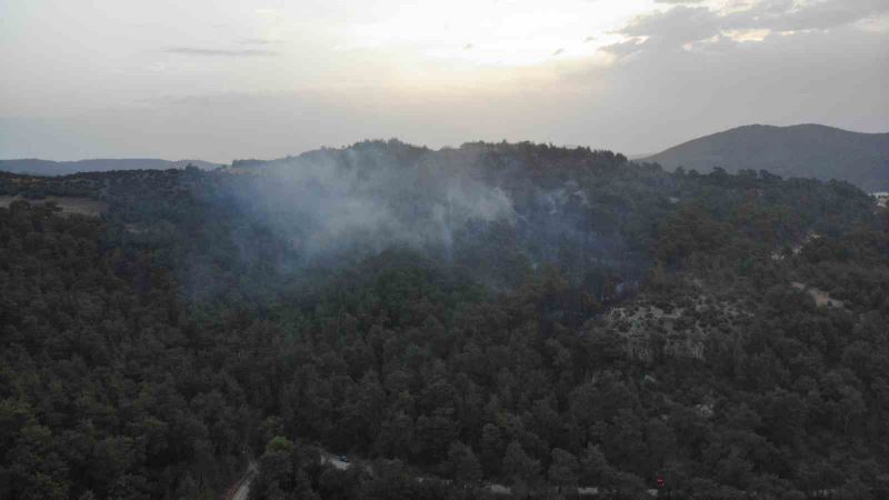 Çanakkale’deki orman yangınına günün ilk ışıklarıyla hava müdahalesi başladı