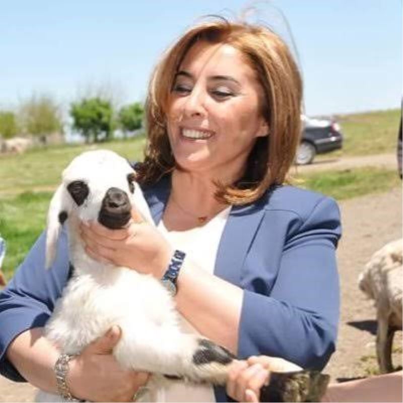 Eski HDP’li Belediye Eş Başkanı tutuklanarak cezaevine gönderildi
